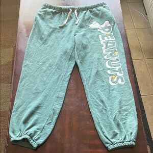 Peanuts Snoopy and Woodstock Large (11-13) Sweatpants with Pockets